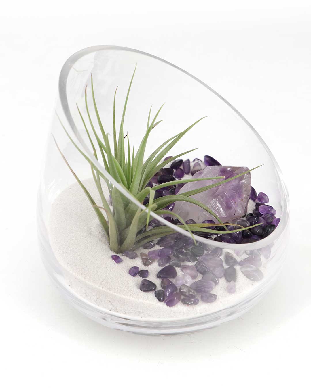 Amethyst Gemstone Healing Crystal Terrarium