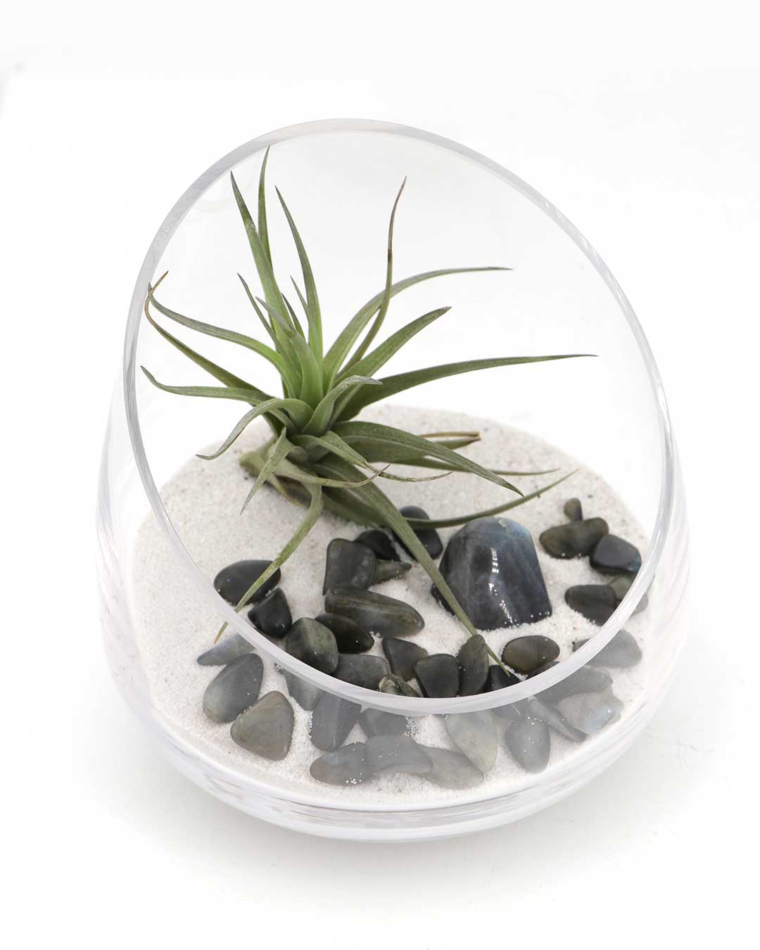 Labradorite Gemstone Terrarium – Air Plant Arrangement with Glass Bowl and Sand