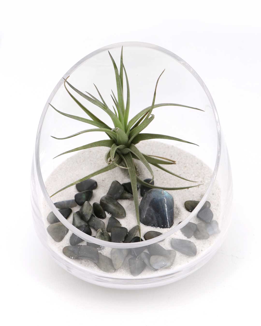 Labradorite Gemstone Terrarium – Air Plant Arrangement with Glass Bowl and Sand