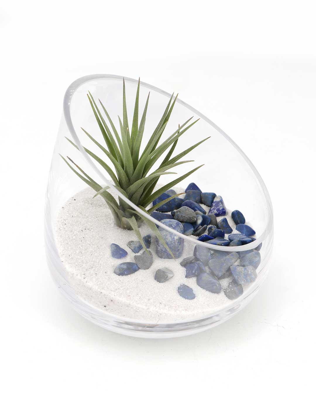 Lapis Gemstone Terrarium