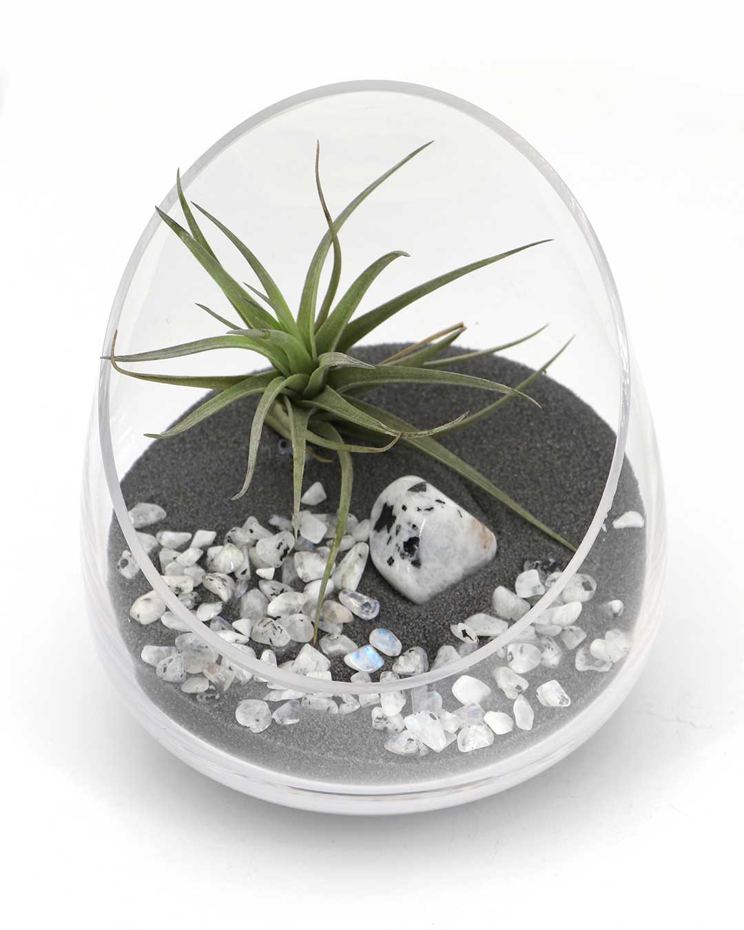 Rainbow Moonstone Gemstone Terrarium – Air Plant Arrangement in Glass Bowl with Black Sand
