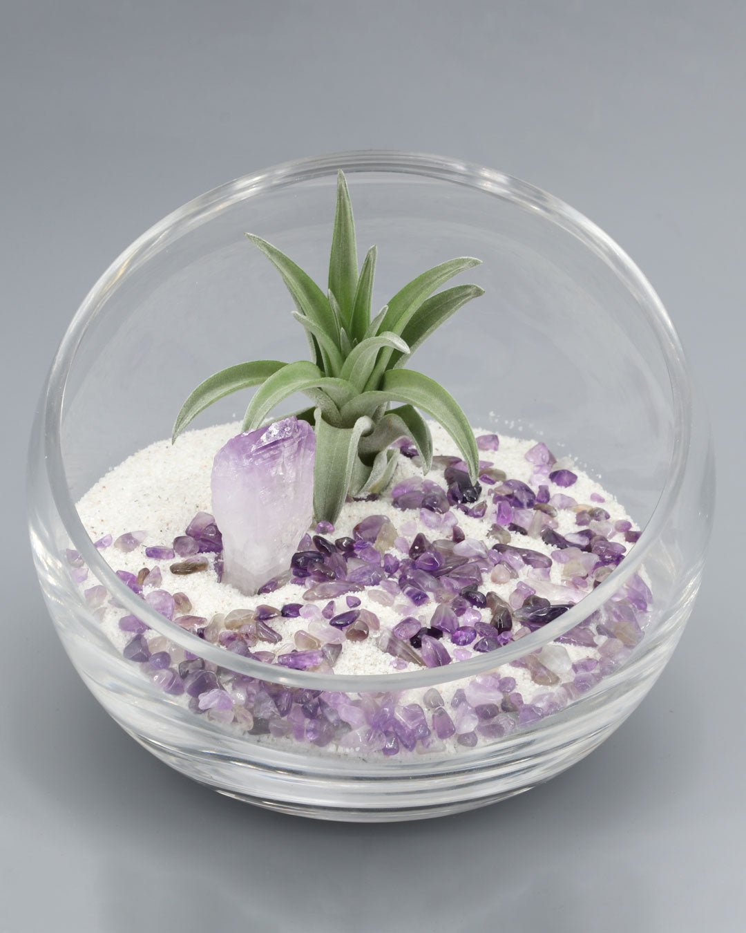 Amethyst Gemstone Healing Crystal Terrarium - Terrarium