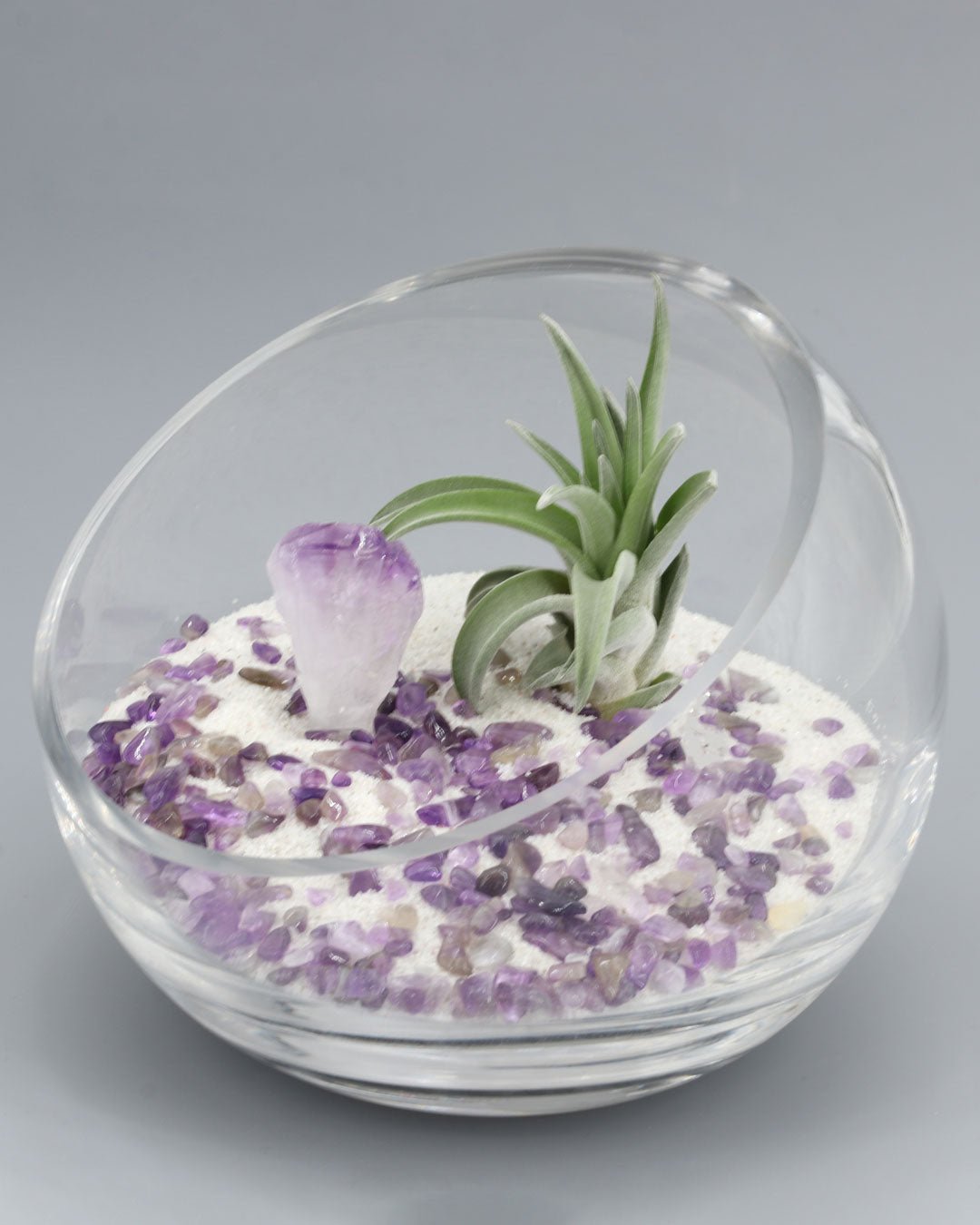 Amethyst Gemstone Healing Crystal Terrarium - Terrarium