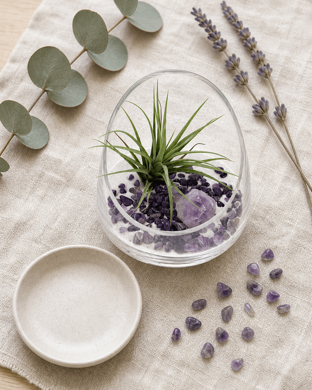 Amethyst Gemstone Healing Crystal Terrarium - Terrarium