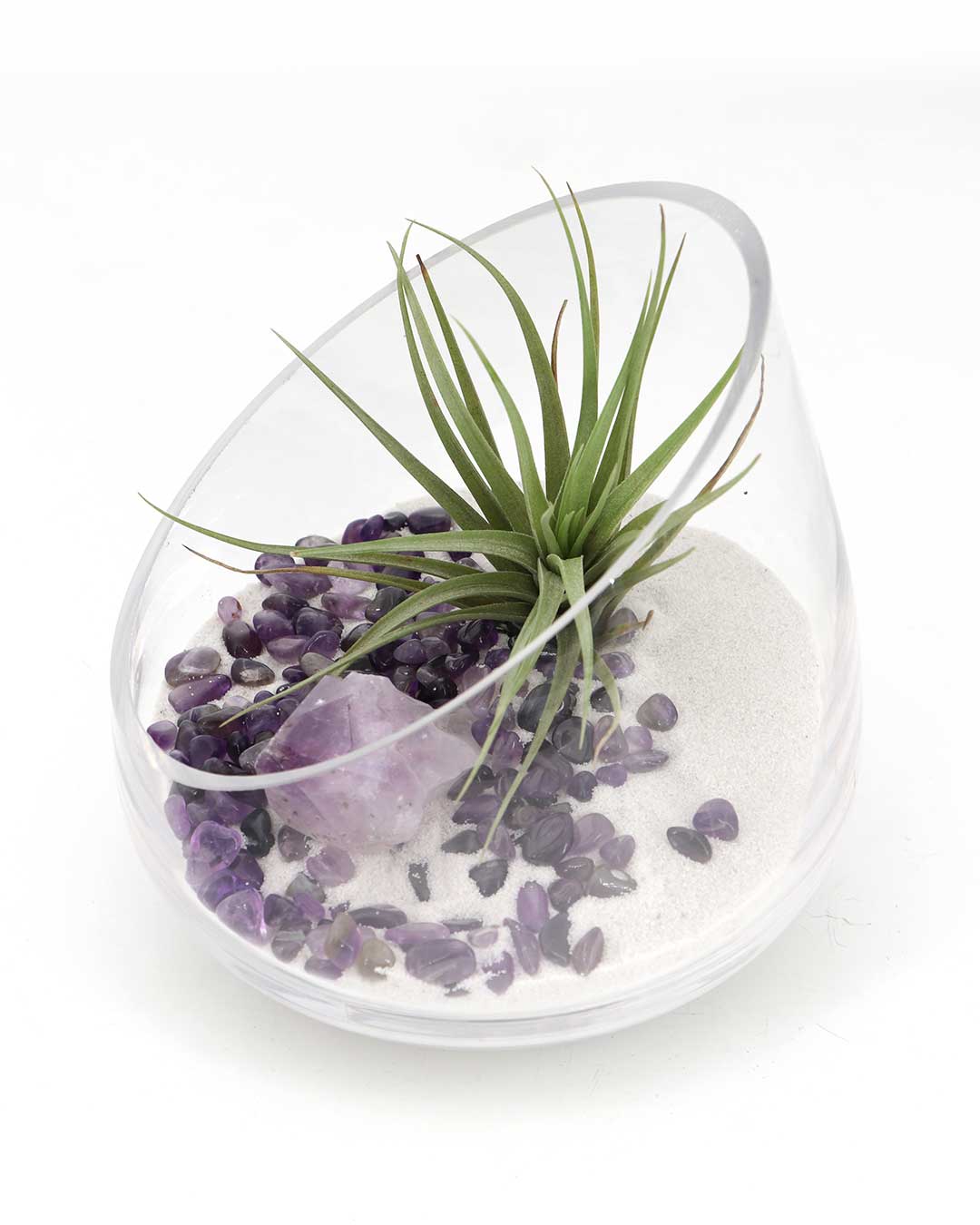 Amethyst Gemstone Healing Crystal Terrarium - Terrarium