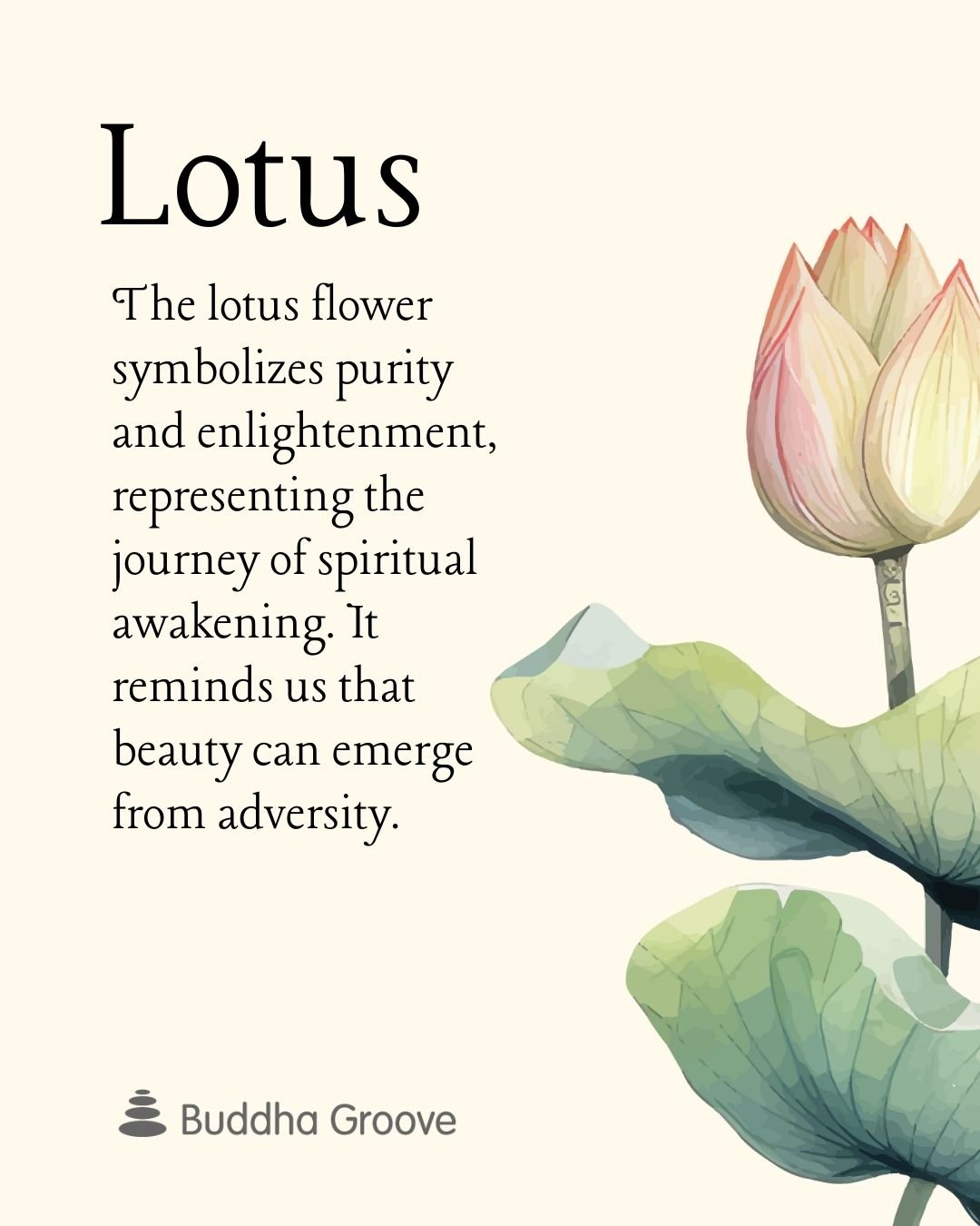 Blooming Lotus meaning