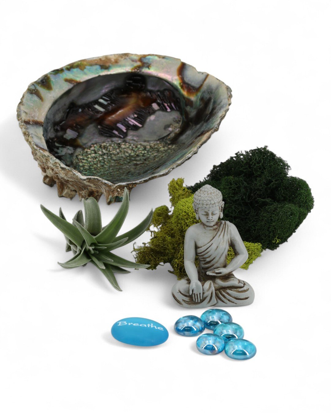 Breathe Abalone Shell Zen Terrarium - Terrarium