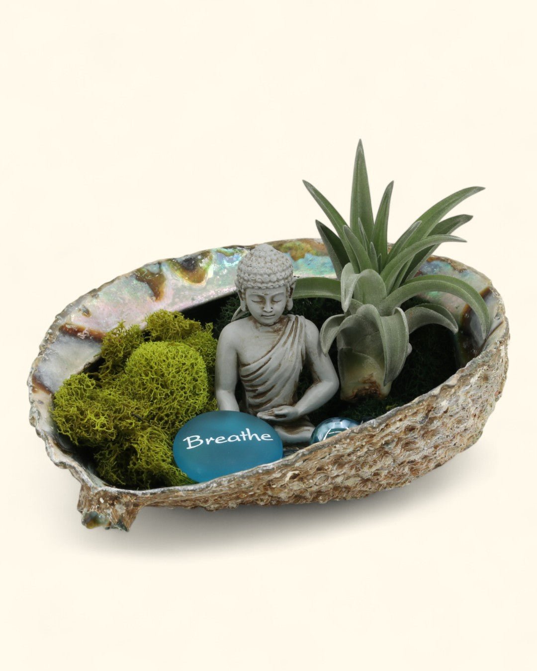 Breathe Abalone Shell Zen Terrarium - Terrarium