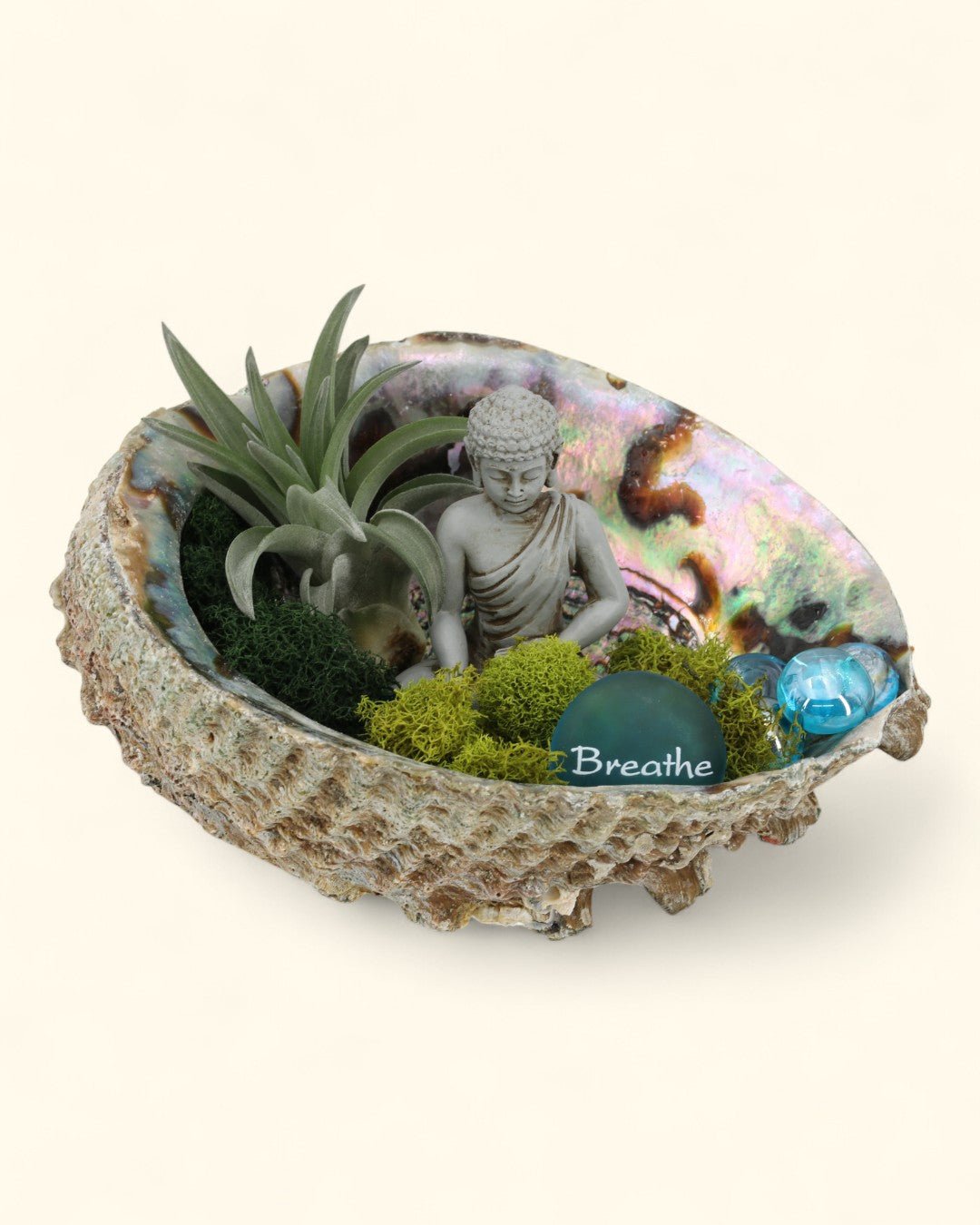 Breathe Abalone Shell Zen Terrarium - Terrarium