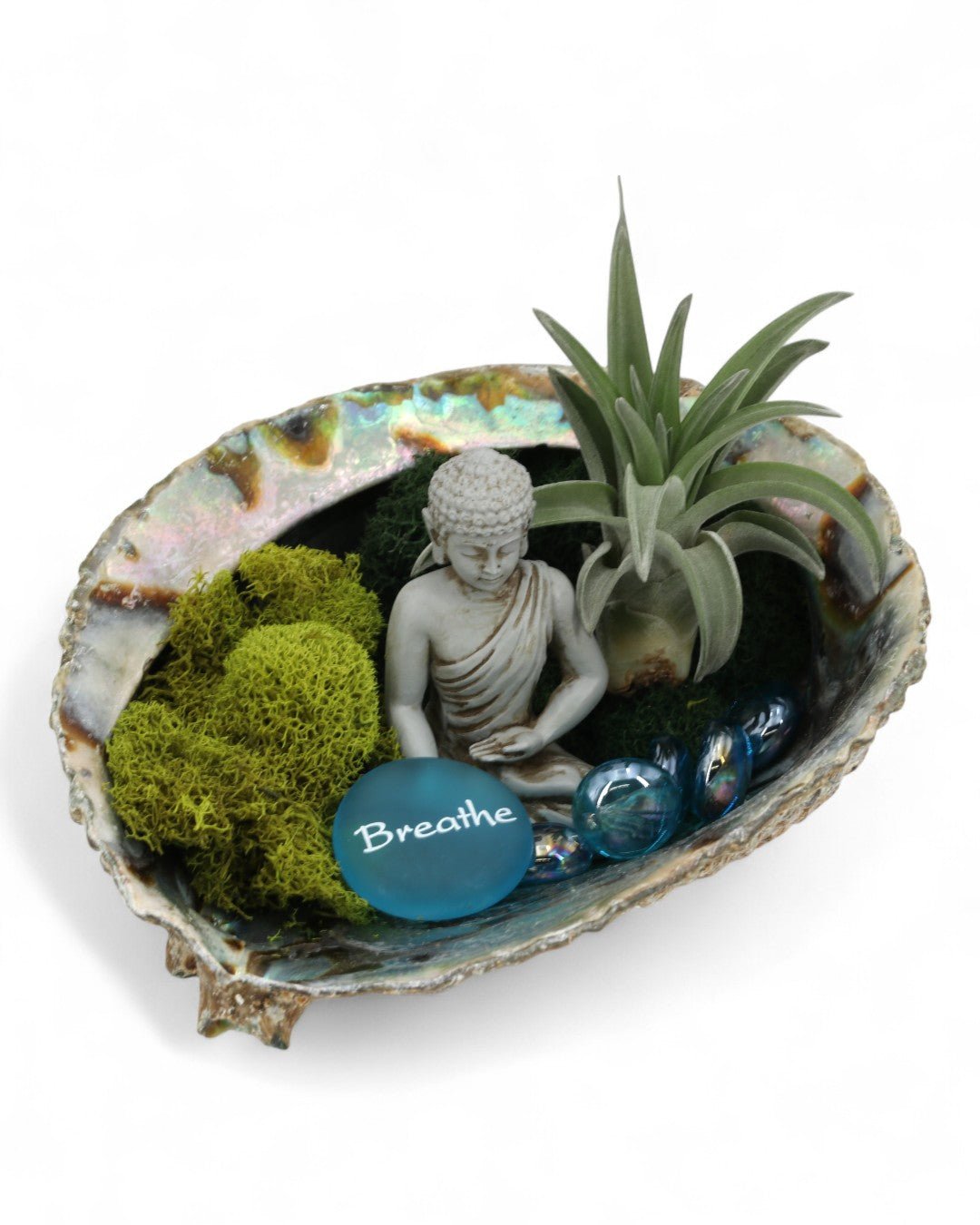 Breathe Abalone Shell Zen Terrarium - Terrarium