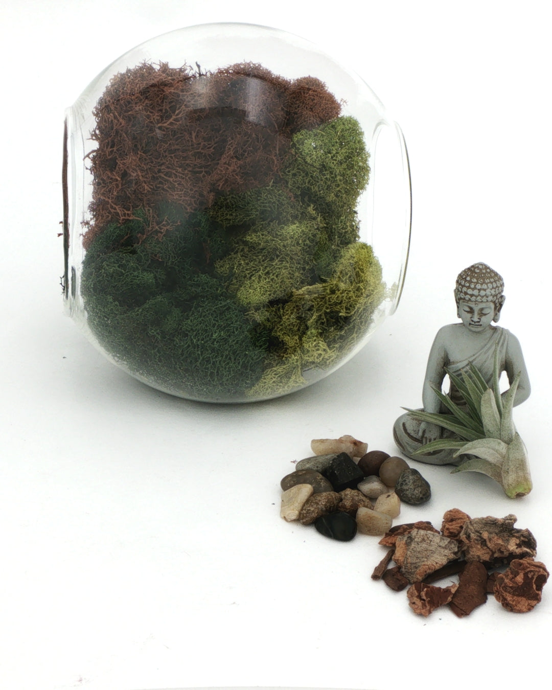 Glass terrarium globe with all included components laid out: Buddha figurine, live air plant, mixed pebbles, bark pieces, and moss