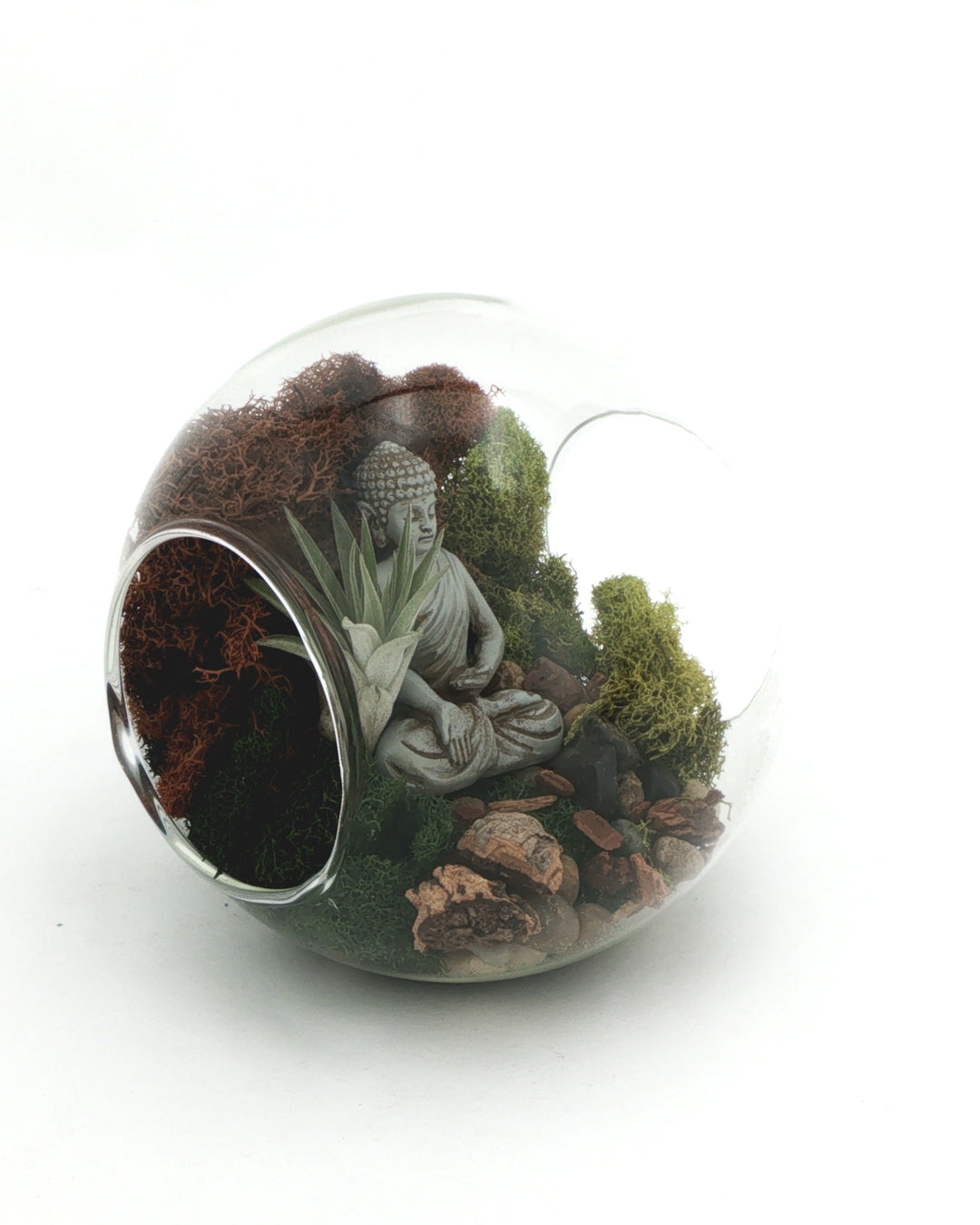Open-end glass terrarium with Buddha figurine and moss tilted to show the round side opening, angled view