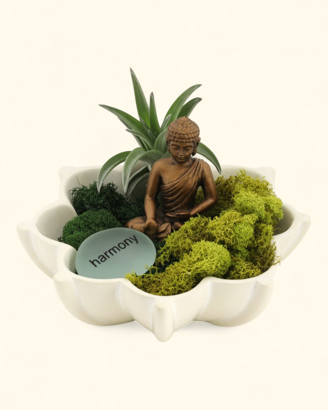 Harmony Zen Terrarium with Lotus Bowl - Terrarium
