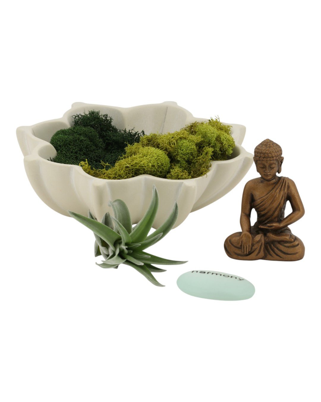 Harmony Zen Terrarium with Lotus Bowl - Terrarium