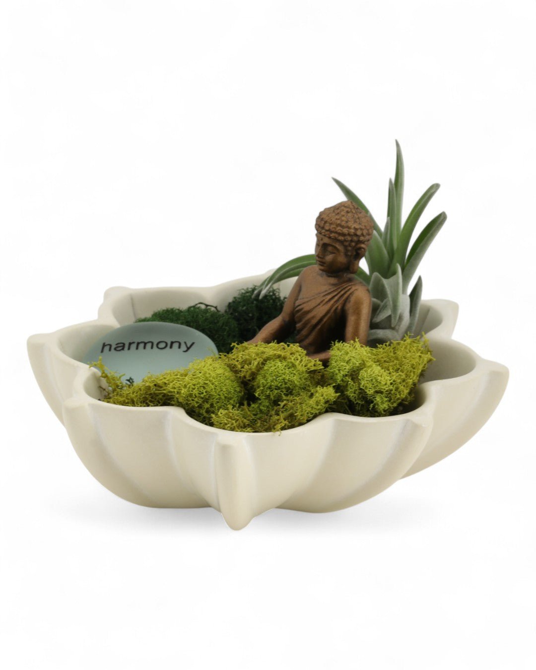 Harmony Zen Terrarium with Lotus Bowl - Terrarium