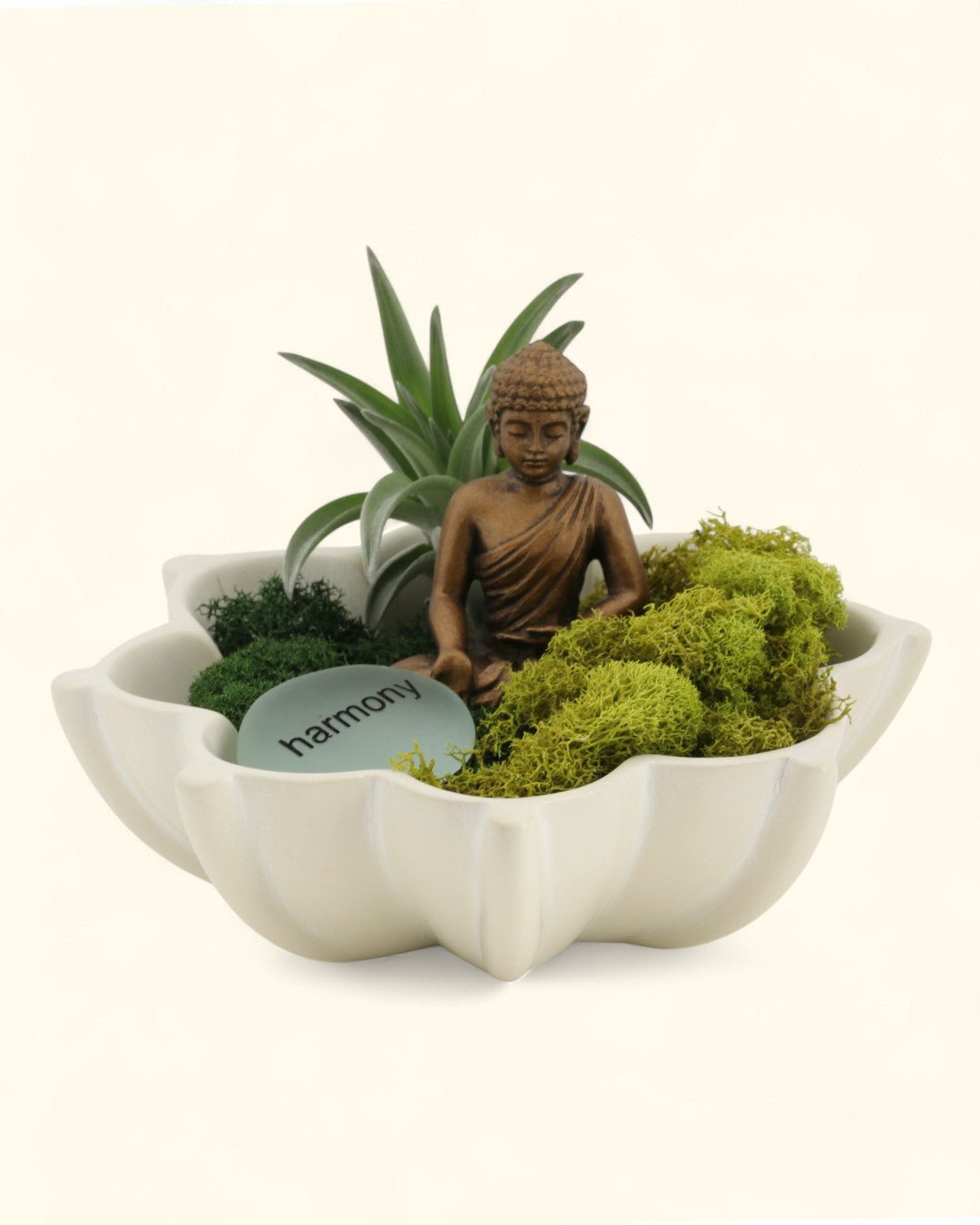 Harmony Zen Terrarium with Lotus Bowl - Terrarium