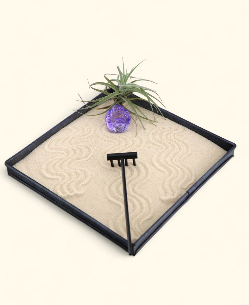 Joy & Abundance Zen Garden – Mini Tray with Purple Buddha and Live Air Plant - Home & Garden