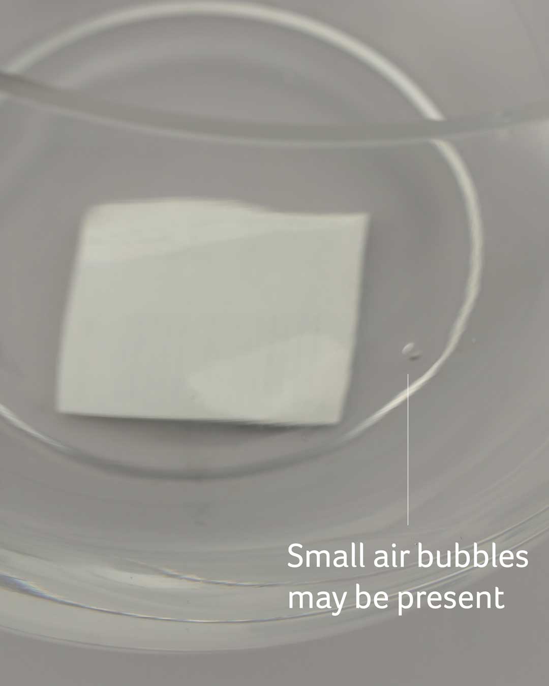 Lapis Gemstone Terrarium - Terrarium