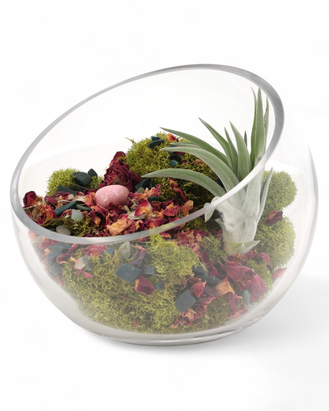Love and Compassion Terrarium with Air Plant - Ecospheres