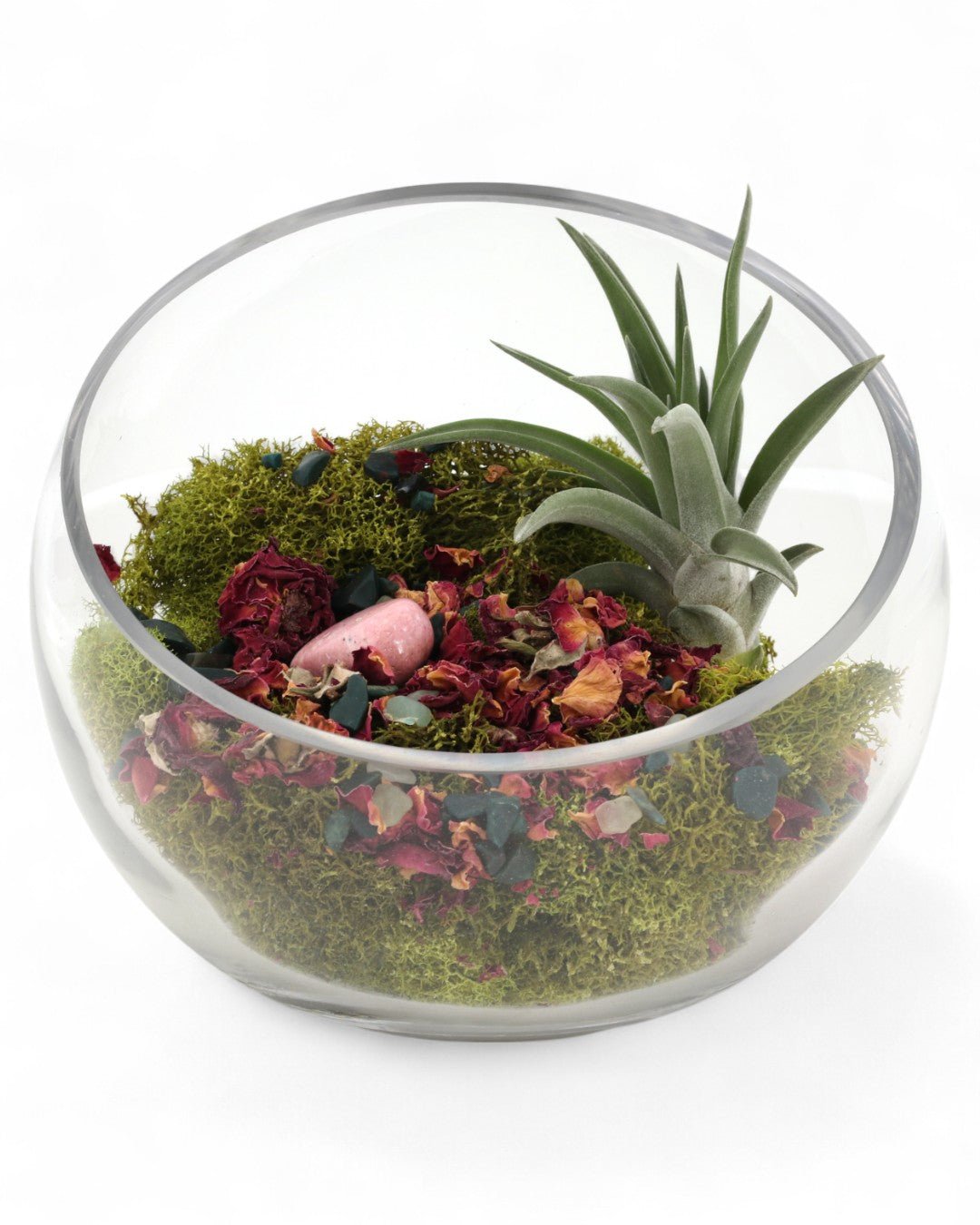 Love and Compassion Terrarium with Air Plant - Ecospheres