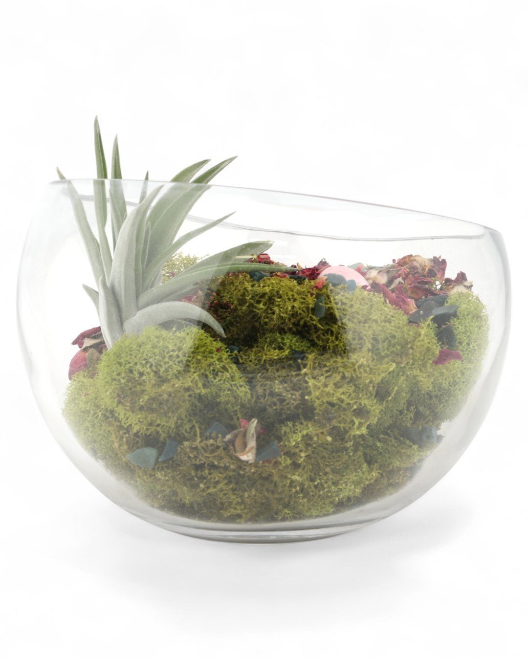 Love and Compassion Terrarium with Air Plant - Ecospheres