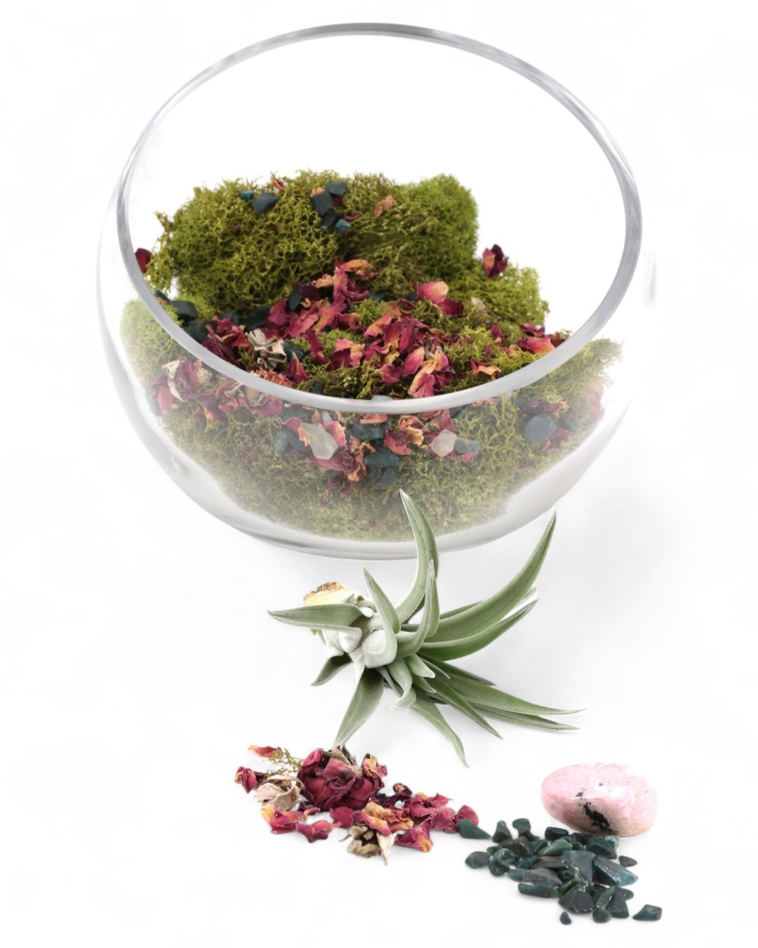 Love and Compassion Terrarium with Air Plant - Ecospheres