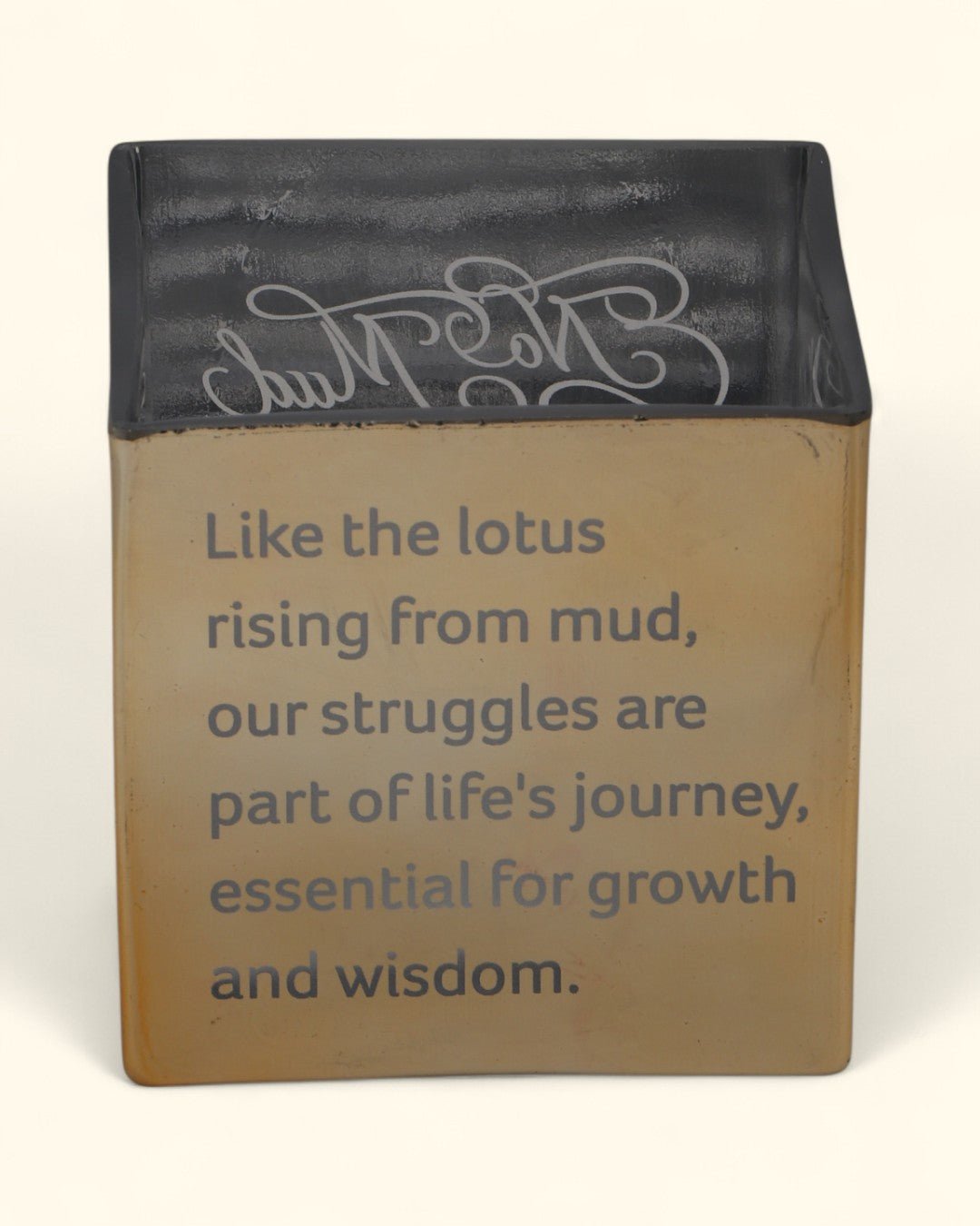 No Mud, No Lotus Glass Square Vase - Vases