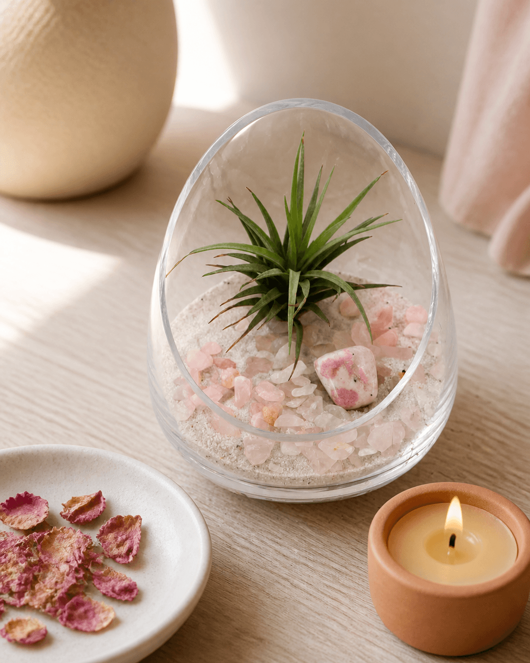 Rose Quartz and Rhodonite Gemstone Crystal Terrarium - Terrarium