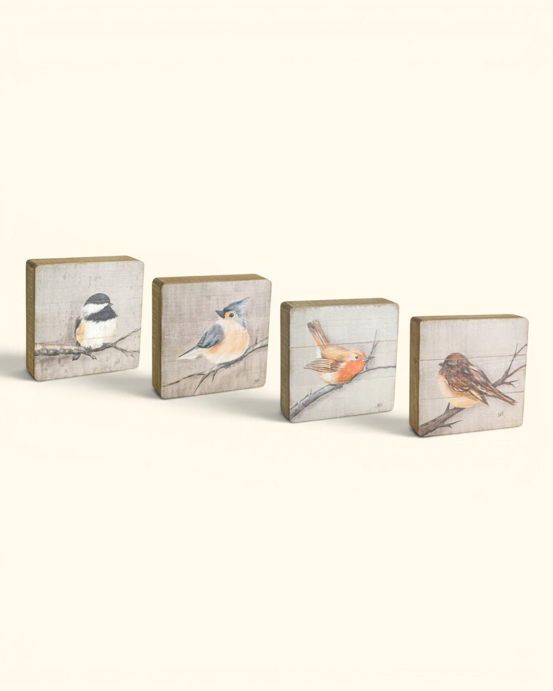 Four rustic wood bird plaques in a row showing chickadee, tufted titmouse, robin, and sparrow printed on whitewashed wood