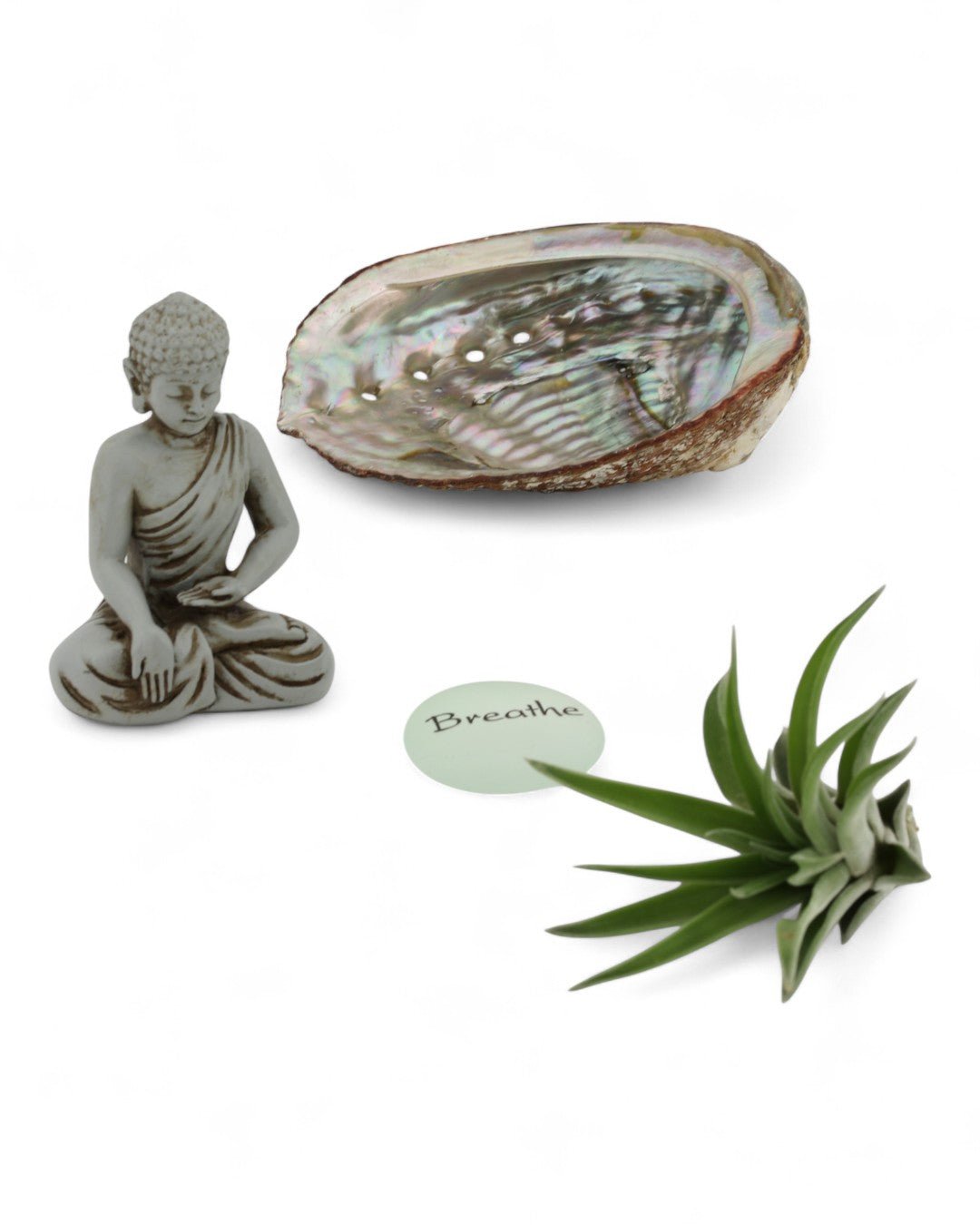 Small Abalone Shell Zen Buddha Terrarium - Ecospheres