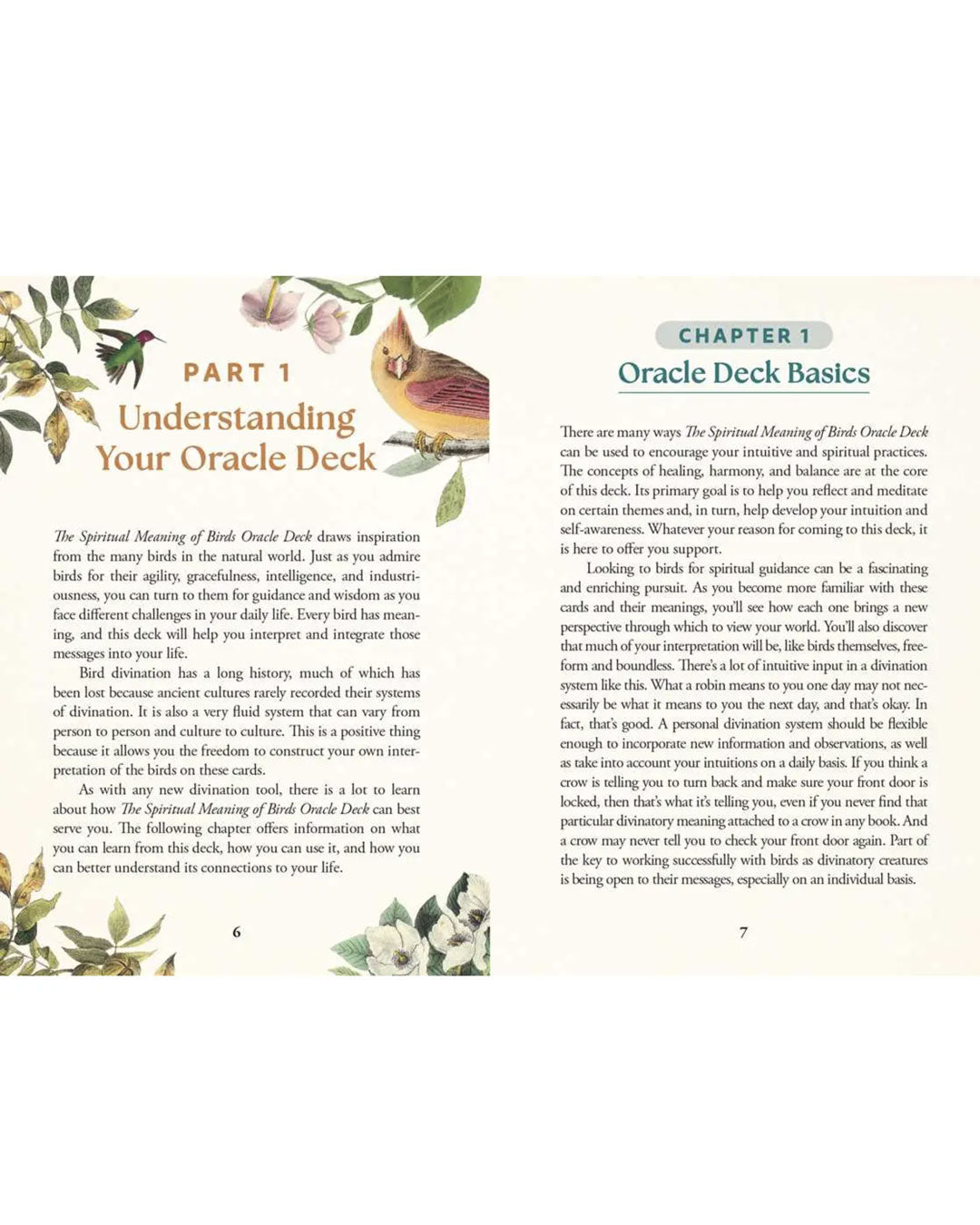 Spiritual Meaning of Birds Oracle - 50 - Card Nature Wisdom Deck by Arin Murphy - Hiscock - Books