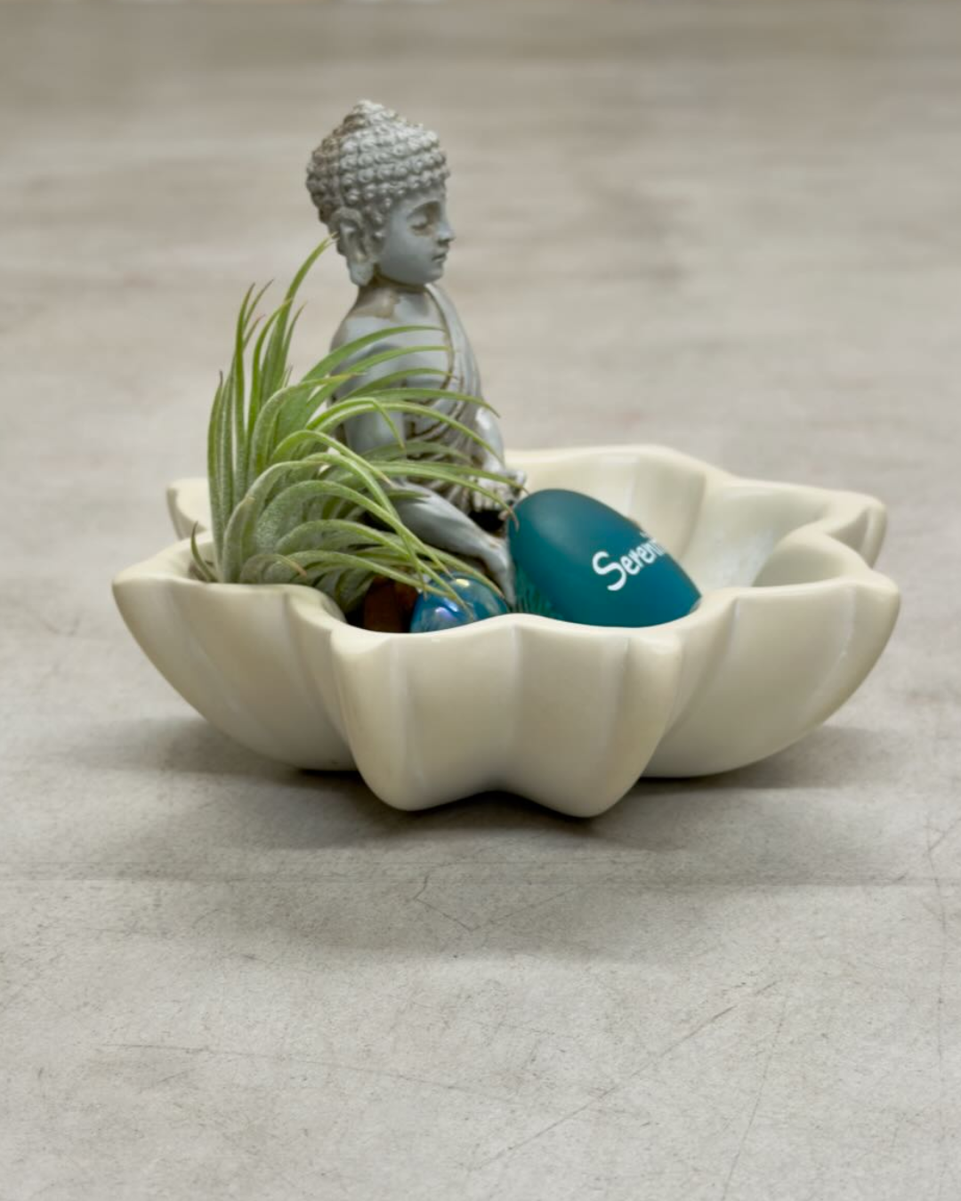 Overhead angle of Zen Buddha terrarium showing lotus bowl with seated Buddha figure, teal Serenity stone, and live air plant