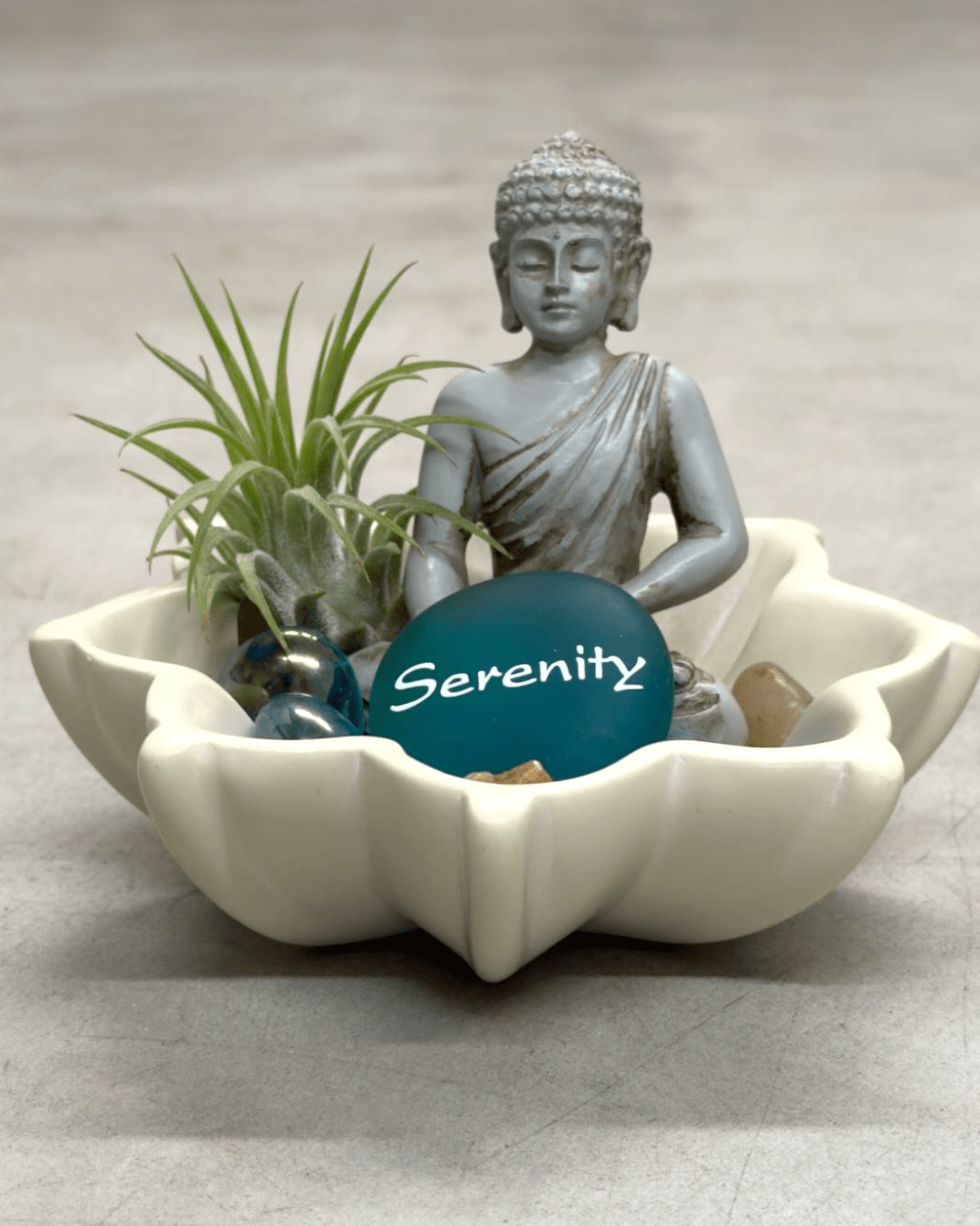 Zen Buddha Terrarium with Lotus Soapstone Bowl & Live Air Plant - Home Decor