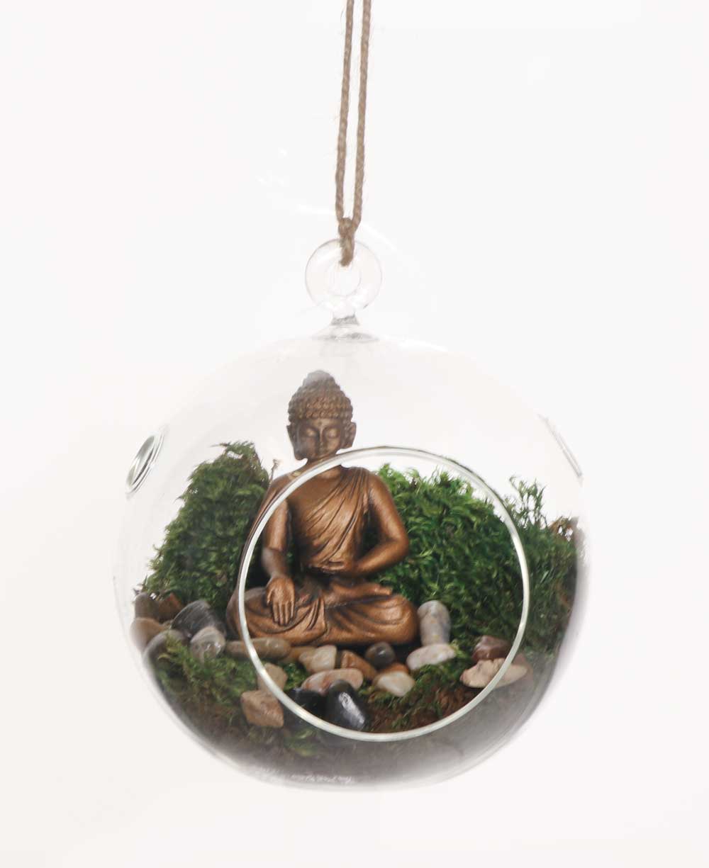Buddha Globe Hanging Terrarium - Ecospheres