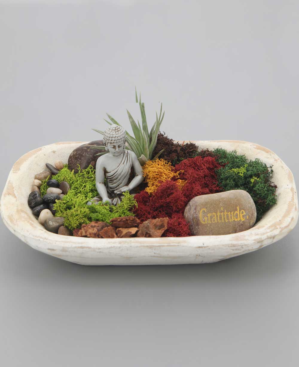 Five Color Moss Gratitude Buddha Terrarium - Terrarium