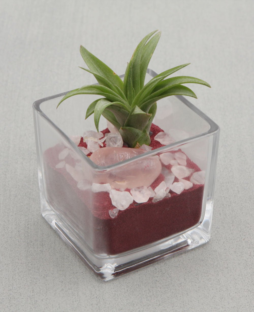 Gemstone Intention Terrarium with Air Plant - Love