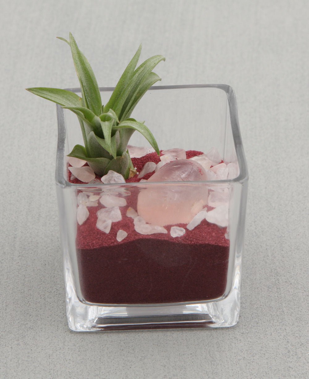 Gemstone Intention Terrarium with Air Plant - Love