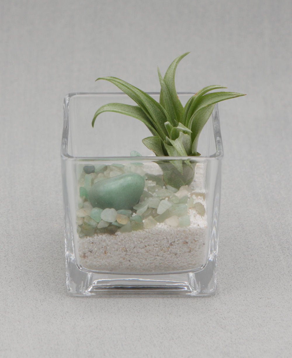 Gemstone Intention Terrarium with Air Plant - Love