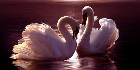 10 Thoughts on Human Connections and Spirituality - Buddha Groove