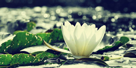 5 Practices for Being "In the World But Not Of the World" - Buddha Groove