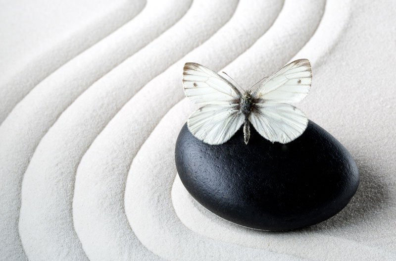 5 Reasons Why Butterflies Are Really Zen Masters in Disguise - Buddha Groove