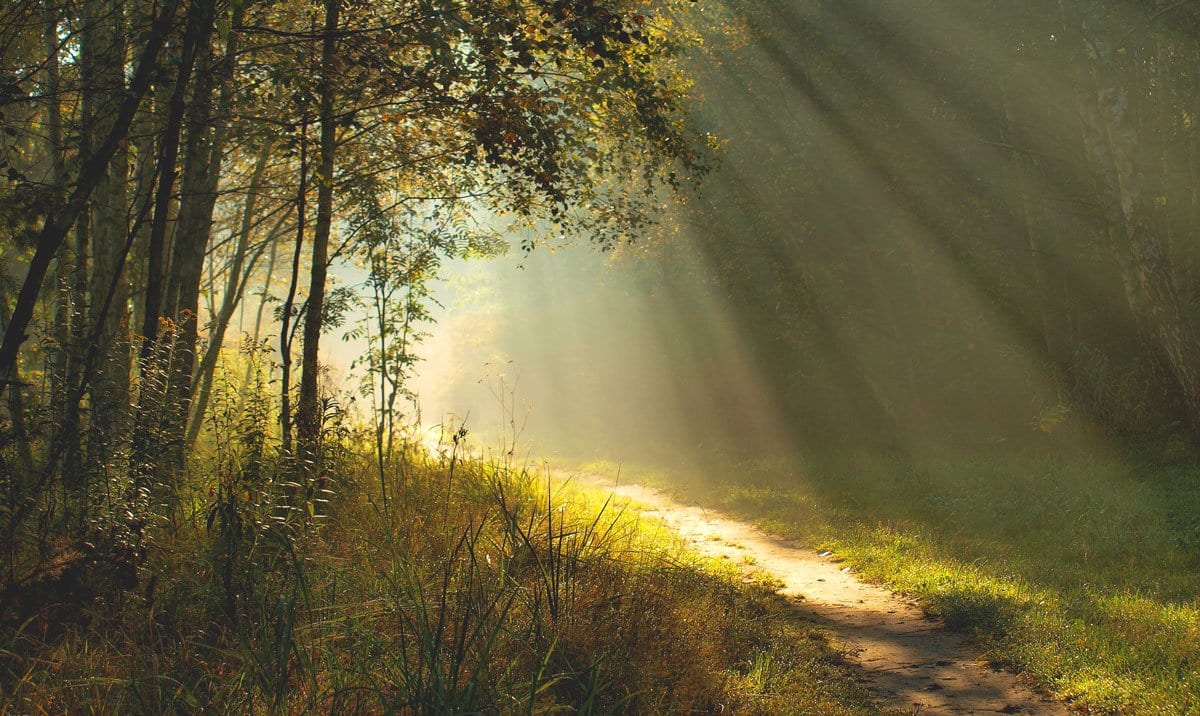 5 Signs That You are Searching for Enlightenment - Buddha Groove