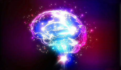 7 Positive Brain Changes Brought By a Mindfulness Meditation Practice - Buddha Groove