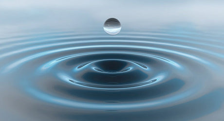 An Exercise in Silence - Buddha Groove