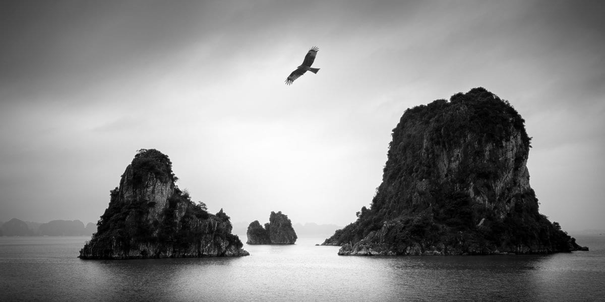 Baka Jataka – Heron Story - Buddha Groove