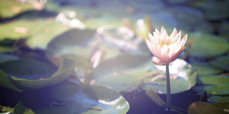 Believe You Are Worthy, And Watch Your Worth Grow! - Buddha Groove