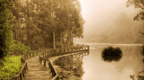 Cultivating Mindfulness in Everyday Life - Buddha Groove