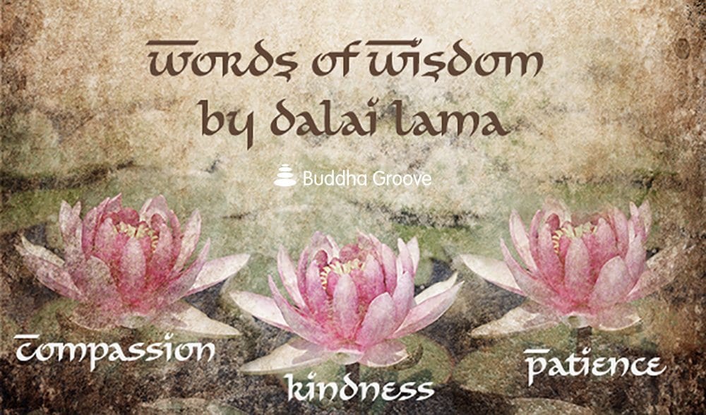 Dalai Lama Wisdom – Advice on Compassion, Kindness, and Patience - Buddha Groove