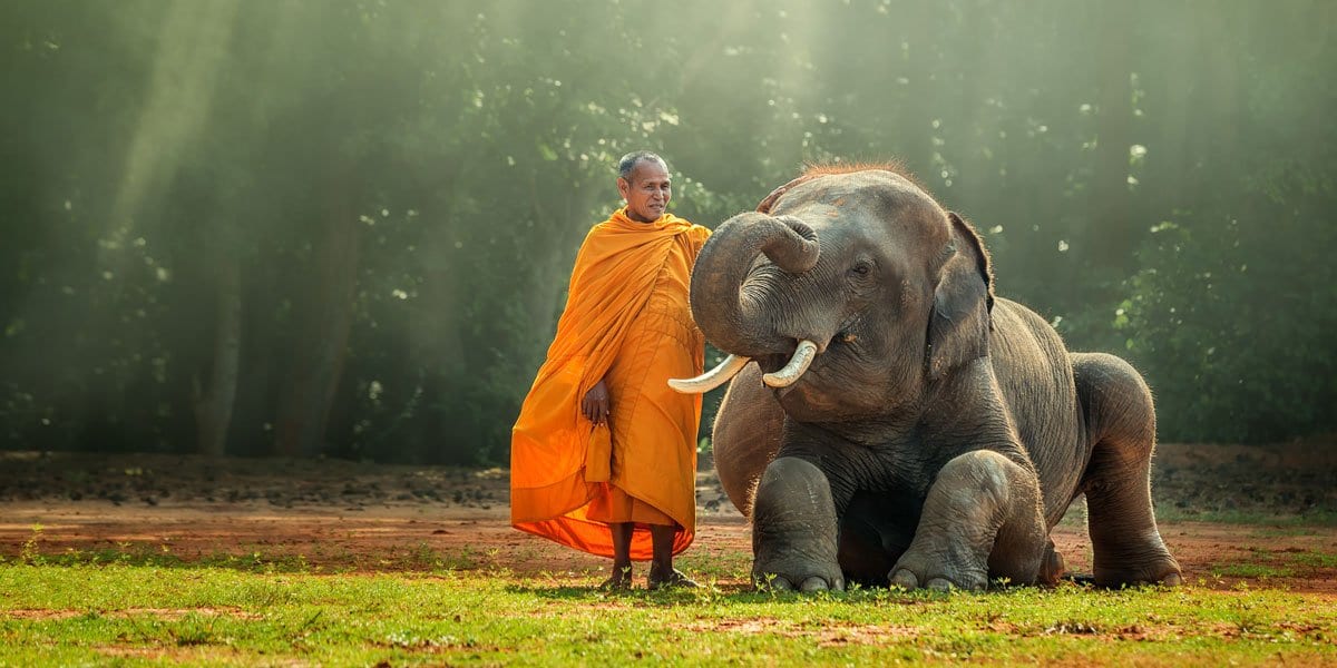 How to Cultivate the Quality of Compassion in Yourself - Buddha Groove