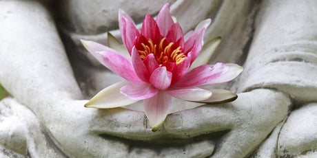 Jataka Tales - Buddha Groove